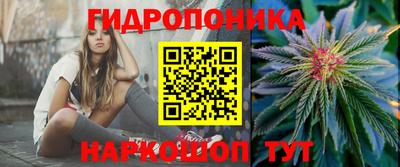 сатива Лесосибирск