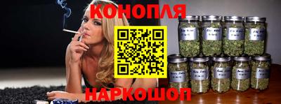 сатива Лесосибирск