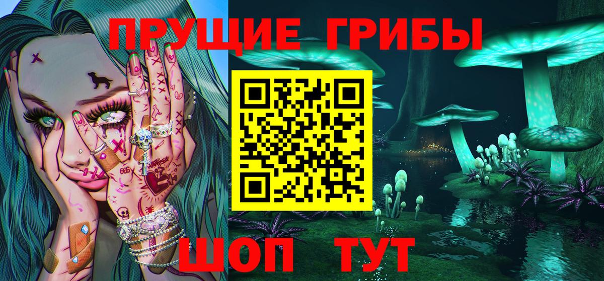 Галлюциногенные грибы Cubensis  Вход с VPN  Тайшет 